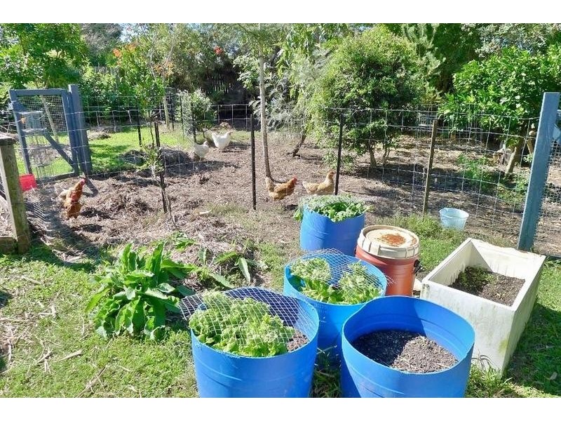 10 Crawford St, Torbanlea QLD 4662