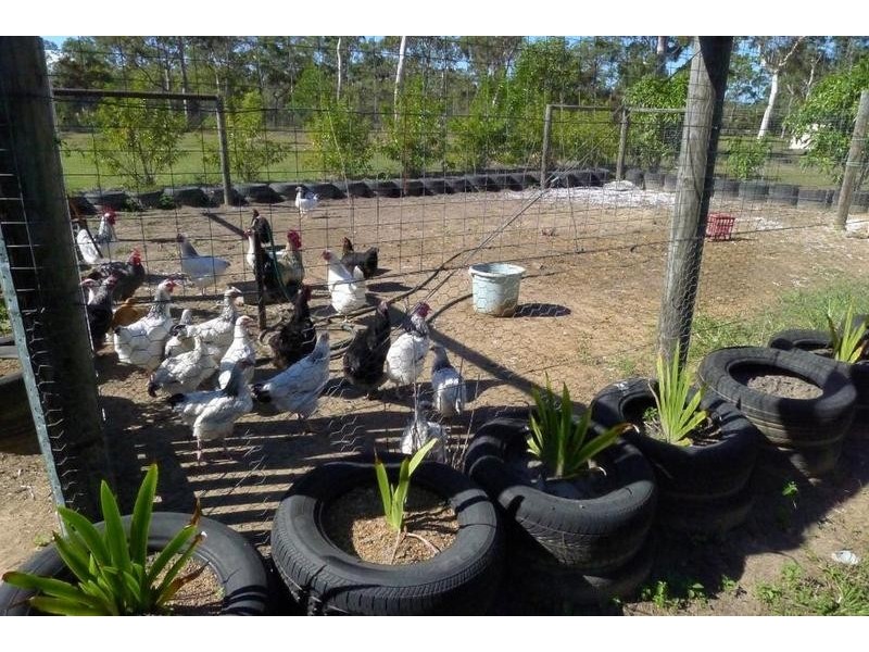 447 Pacific Haven Dr, Howard QLD 4659