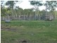 Lot Lot1,2,3,4, 0 Bilsborough Rd, Howard QLD 4659
