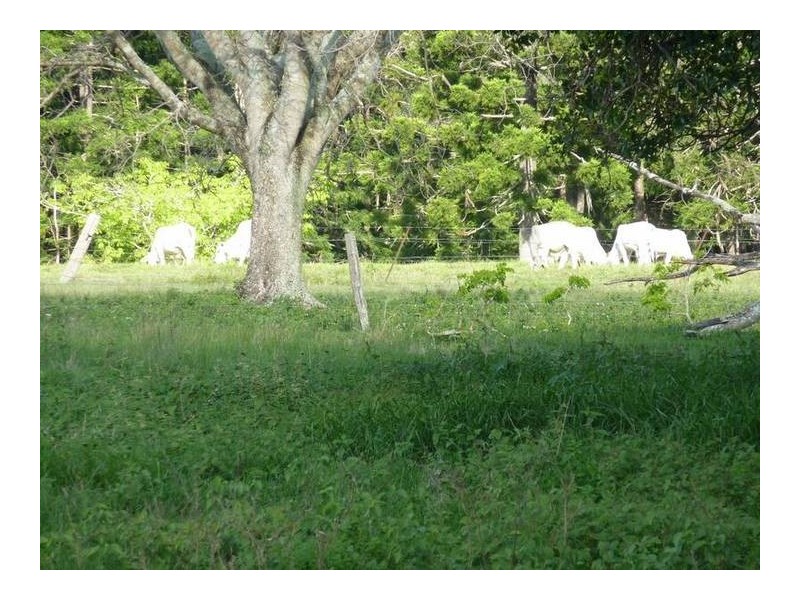 Lot Lot1,2,3,4, 0 Bilsborough Rd, Howard QLD 4659