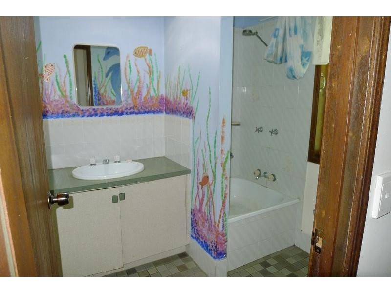 41 Annie Street, Howard QLD 4659