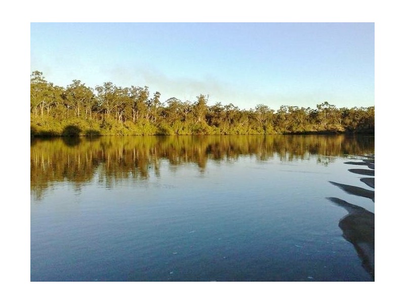 241 Pacific Haven Cct, Pacific Haven QLD 4659