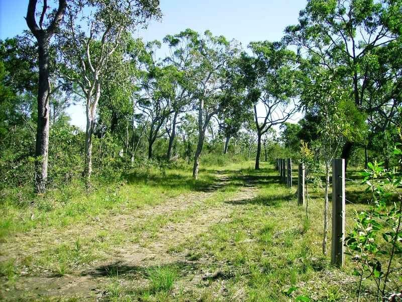 269 Pacific Haven Cct, Pacific Haven QLD 4659