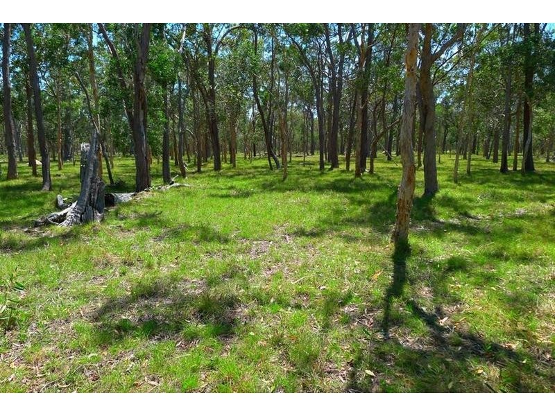 43 Condamine Rd, Howard QLD 4659