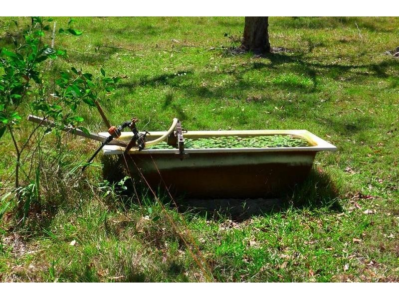 43 Condamine Rd, Howard QLD 4659