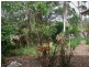 294 PACIFIC HAVEN CCT, Pacific Haven QLD 4659
