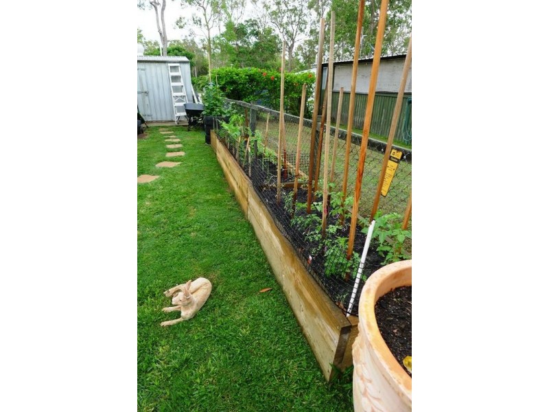 b/141 Old Bruce Hwy, Burrum Town QLD 4659