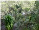 2 South Heath Rd, Burrum River QLD 4659