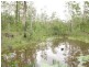 0 Two Twenty Eight Rd, Duckinwilla QLD 4650
