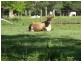 Lot 1,2,3,4, 0 Bilsborough rd, Howard QLD 4659