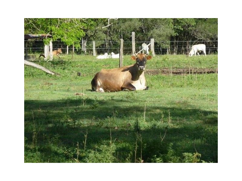 Lot 1,2,3,4, 0 Bilsborough rd, Howard QLD 4659