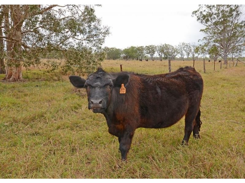 565 Burrum Heads Rd, Burrum River QLD 4659