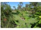 447 Pacific Haven Drive, Pacific Haven QLD 4659