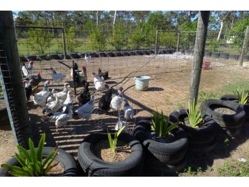 447 Pacific Haven Drive, Pacific Haven QLD 4659