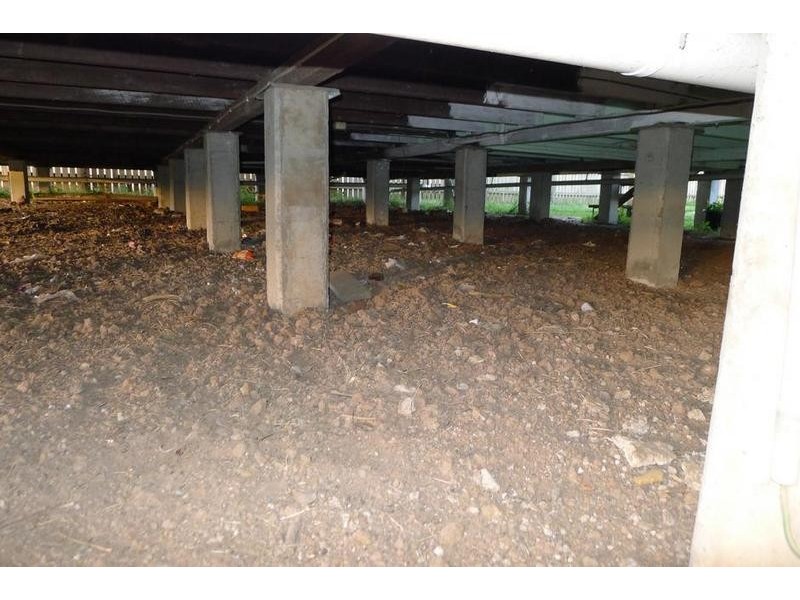 19 Martha Street, Howard QLD 4659