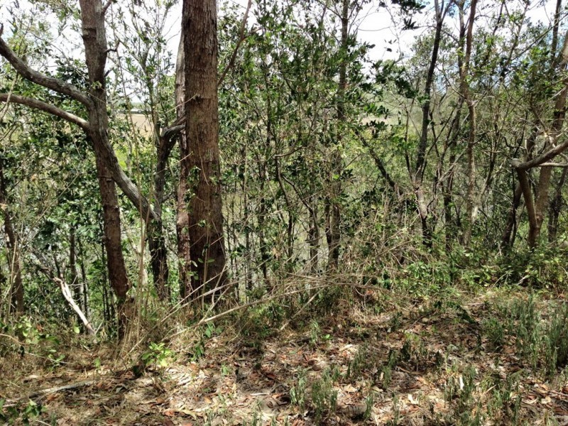 24-28 Rankin Street, Howard QLD 4659