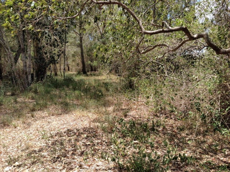 24-28 Rankin Street, Howard QLD 4659