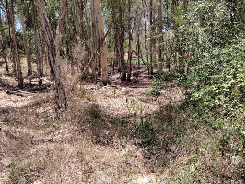 24-28 Rankin Street, Howard QLD 4659