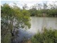 16 Island Close, Pacific Haven QLD 4659