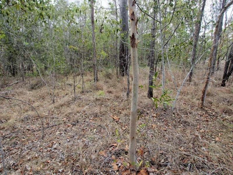 296 Pacific Haven Cct, Pacific Haven QLD 4659