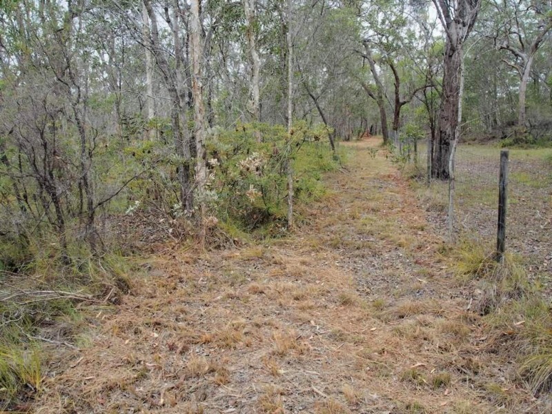 360 Pacific Haven Cct, Pacific Haven QLD 4659