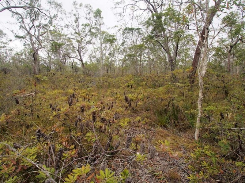 360 Pacific Haven Cct, Pacific Haven QLD 4659