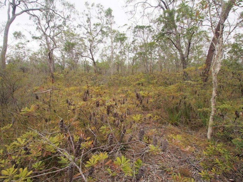 360 Pacific Haven Cct, Pacific Haven QLD 4659