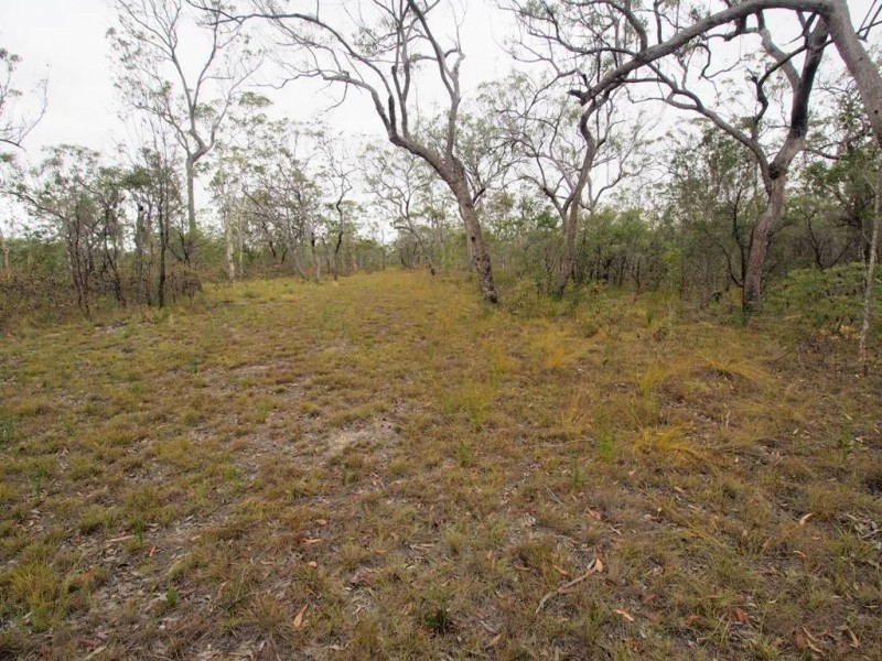 360 Pacific Haven Cct, Pacific Haven QLD 4659