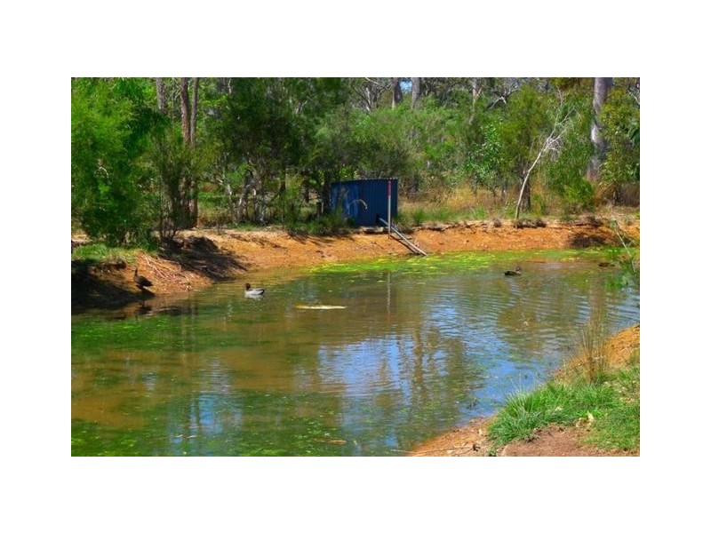 8 Island Close, Pacific Haven QLD 4659