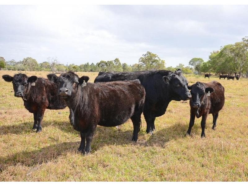 Burrum River QLD 4659