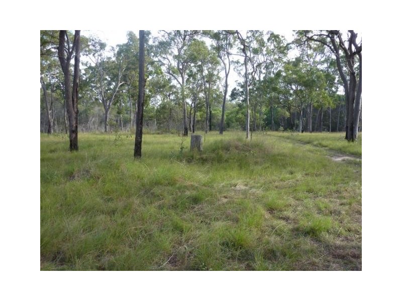 98 Pacific Haven Cct, Pacific Haven QLD 4659