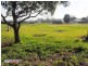 33 to 37 Lower Thomas St, Howard QLD 4659