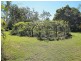 31 Raintree Ave, Burrum Heads QLD 4659