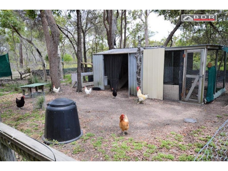 313 Pacific Haven Cct, Pacific Haven QLD 4659