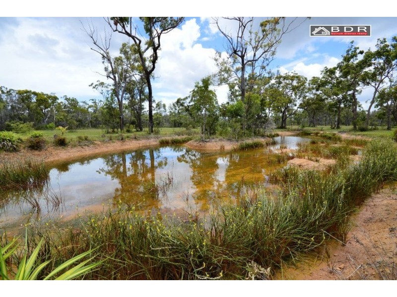 313 Pacific Haven Cct, Pacific Haven QLD 4659