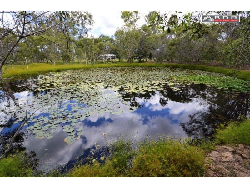 140 Burrum River Road, Torbanlea QLD 4662