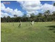 Lot 52 River Rd, Howard QLD 4659