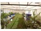 31 Marina Drive, Pacific Haven QLD 4659