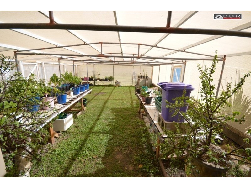 31 Marina Drive, Pacific Haven QLD 4659
