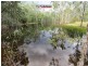 86 Joynsons Rd, Torbanlea QLD 4662