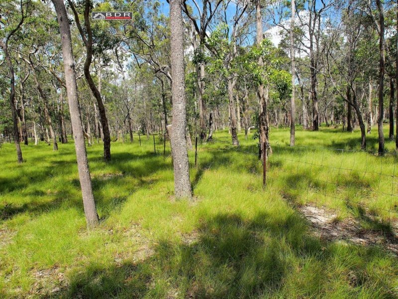 101 Pacific Haven Cct, Pacific Haven QLD 4659