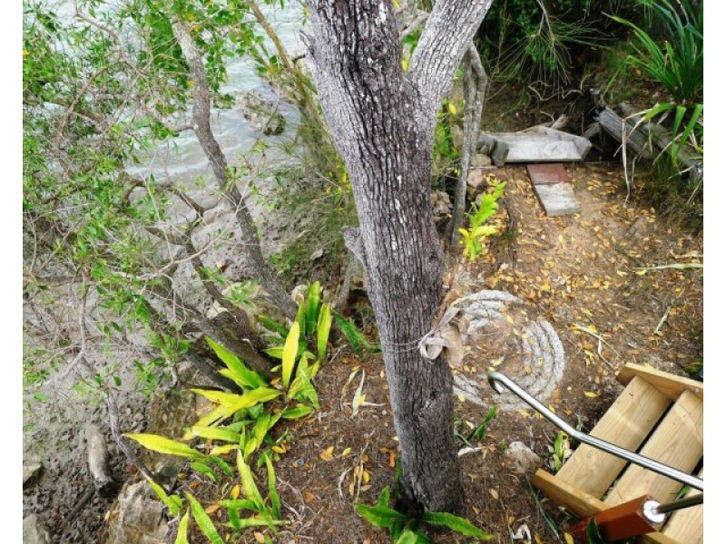 17 Jacqueline Drive, Pacific Haven QLD 4659