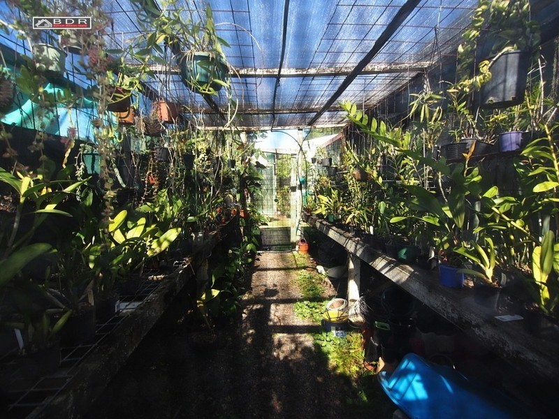 31 Hurley Street, Howard QLD 4659