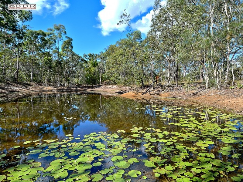 294 Pacific Haven Cct, Pacific Haven QLD 4659