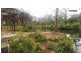475 Duckinwilla Road, Duckinwilla QLD 4650