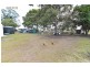 50 Whitley Street, Howard QLD 4659