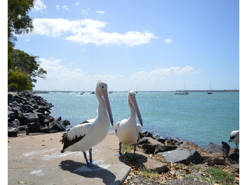 4 Tamarind Close, Burrum Heads QLD 4659