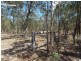 Lot 299,  Gregory Street, Howard QLD 4659