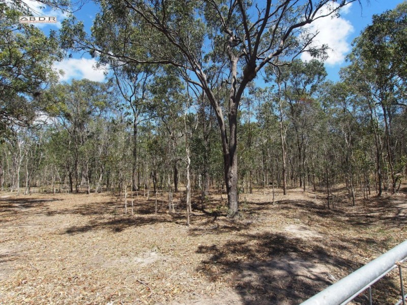 Lot 299,  Gregory Street, Howard QLD 4659