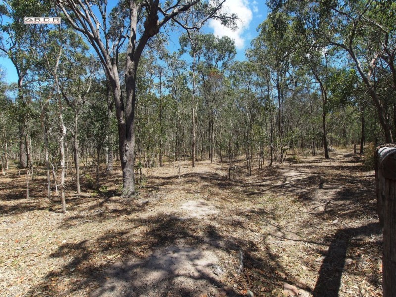 Lot 299,  Gregory Street, Howard QLD 4659
